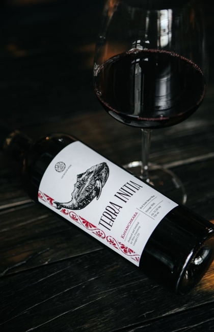 Terra Initia в Win Bar