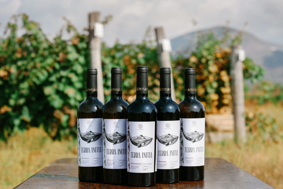 Terra Initia – «Земля Первородная»