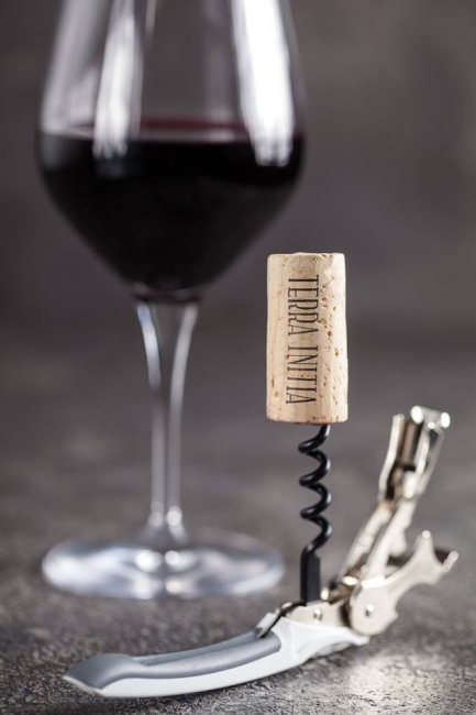 ИЗ истории ШТОПОРА