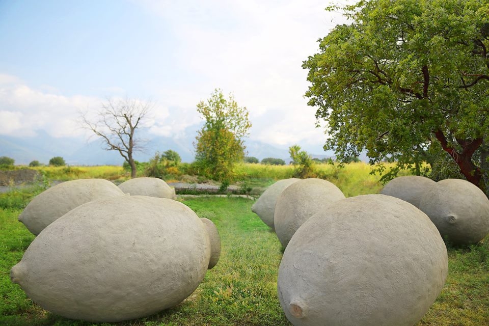 Decanter добавил категорию "Вина квеври"