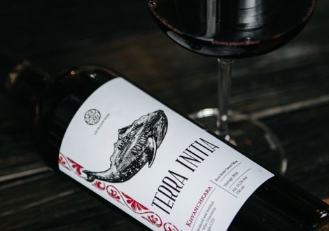 Terra Initia в Win Bar