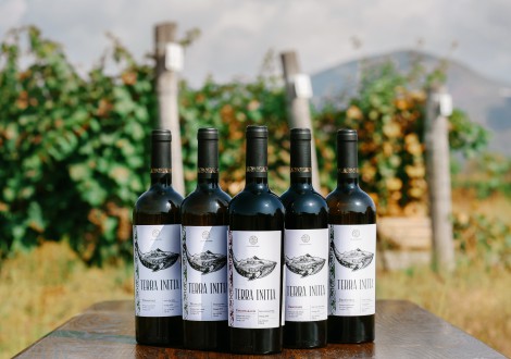 Terra Initia – «Земля Первородная»