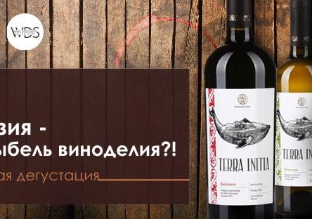Дегустация "Грузия - колыбель виноделия?!"