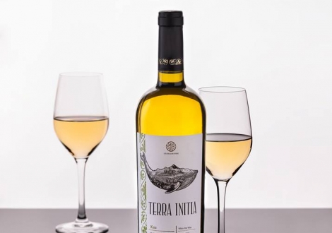 ДРЕВНЕЙШИЙ СОРТ ВИНОГРАДА КИСИ