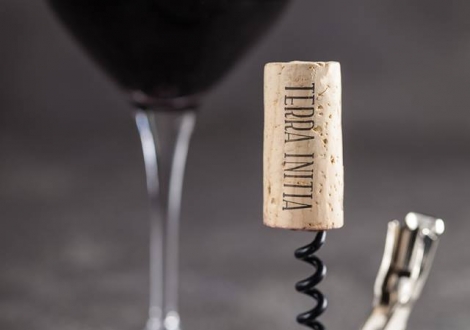 Когда появились винная пробка и штопор?