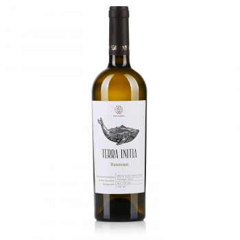 Terra Initia Banovani White